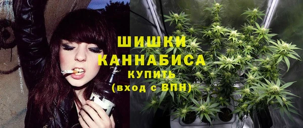 винт Богданович