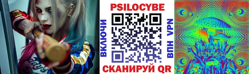 закладка  Горно-Алтайск  Псилоцибиновые грибы Psilocybine cubensis 